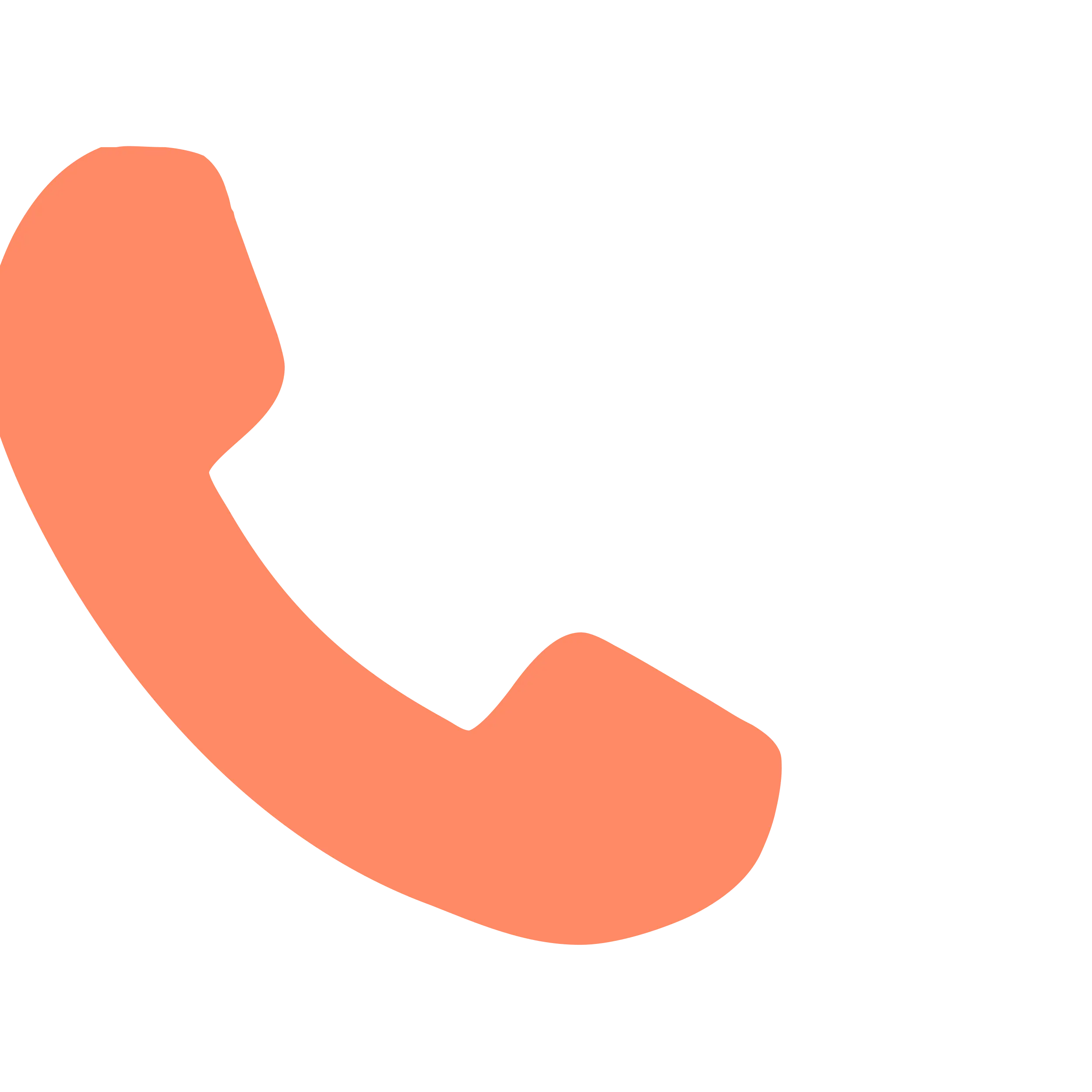 phone